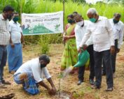 environment-day-05-06-2020