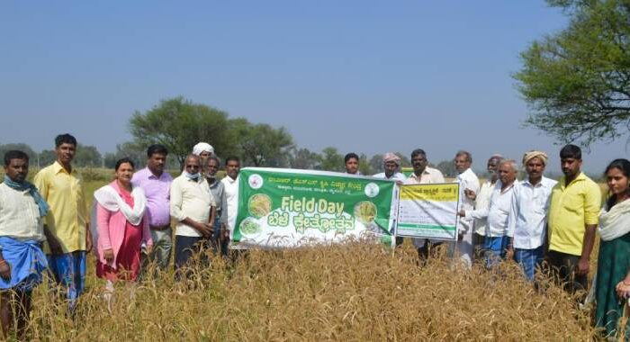 JSS Foxtail millet field day