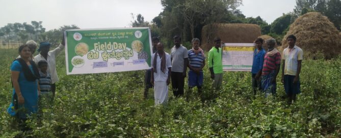 JSS Suttur - Hebbala Avare HA-4 crop (hyacinth seed) Field Day, at Arakere Village