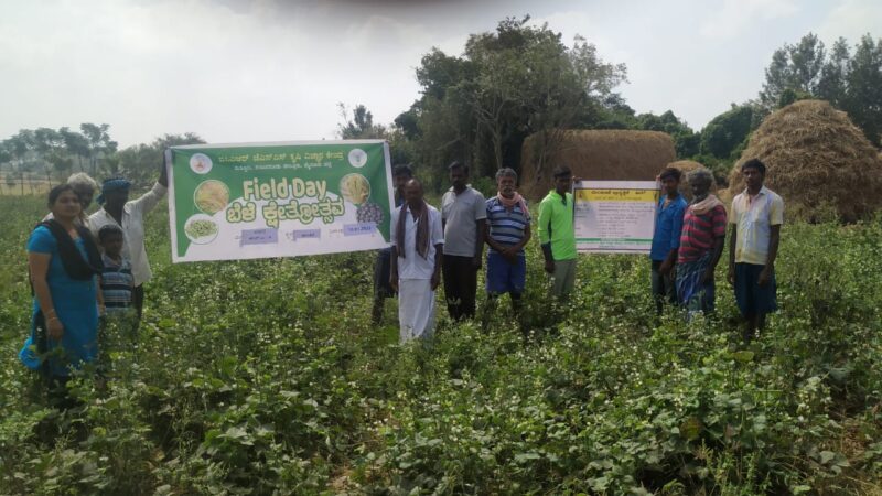 JSS Suttur - Hebbala Avare HA-4 crop (hyacinth seed) Field Day, at Arakere Village