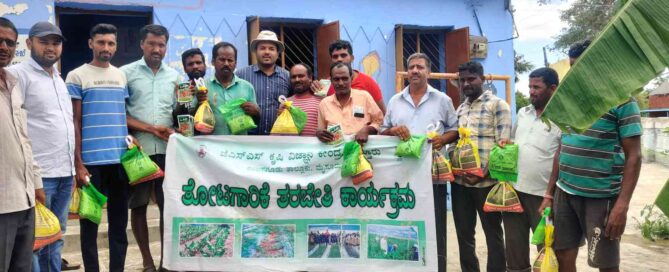 JSS - Suttur : 2023 : New Cow Pea Variety 'Arka Mangala' to Boost Farmers' Income in Karnataka