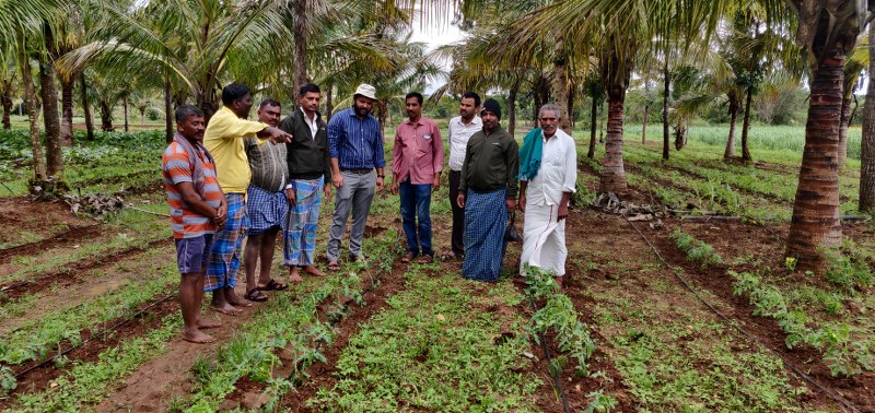 ICAR JSS Krishi Vigyan Kendra Organizes Integrated Crop Protection Training Program for Vegetable Crops in Suttur