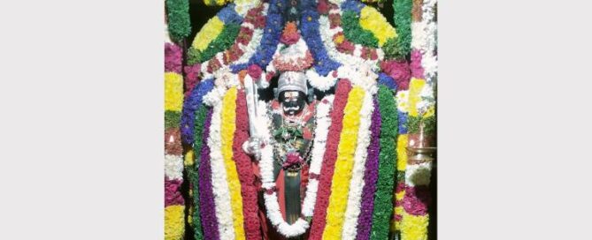Sri Veerabhadraswami Jayanti Mahotsav Celebrated at Suttur