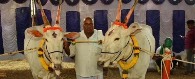 jssmvp-Sutturu-Jathra-Mohavsatava-2025-02