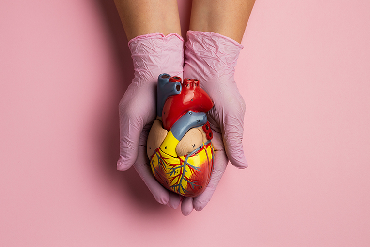 Donate-Organs-Save-lives JSS Donate-Organs-Save-lives